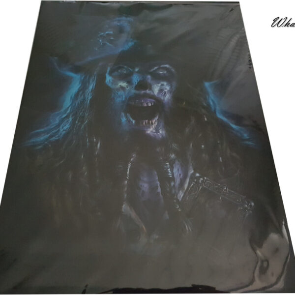 3d Bild Captain Grimbeard